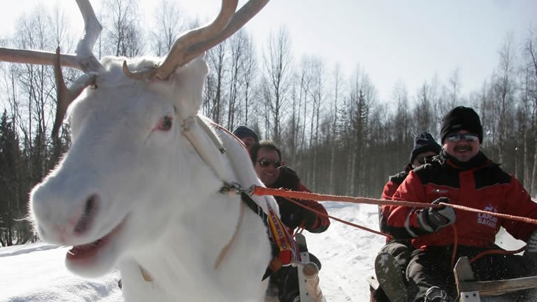 Finnish Winter Adventure Family Holiday