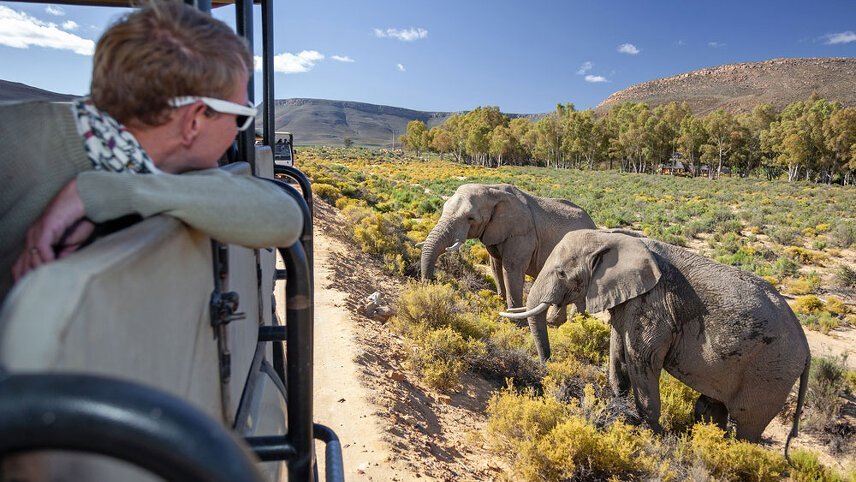 South Africa: Family Cape Adventure