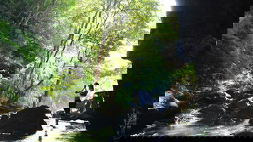 9 Day Signature Costa Rica - Where the Wild Answers (Exodus)