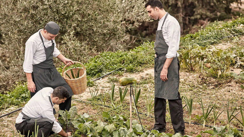 Signature Greece - Songs of the Lyre