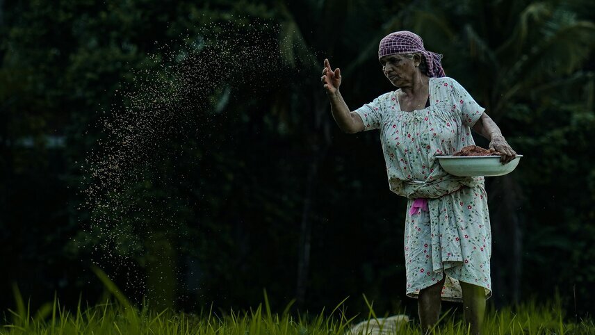 Signature India - Between Spices & Backwaters