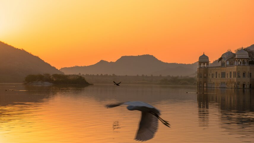 Signature India - The Realm of Royals