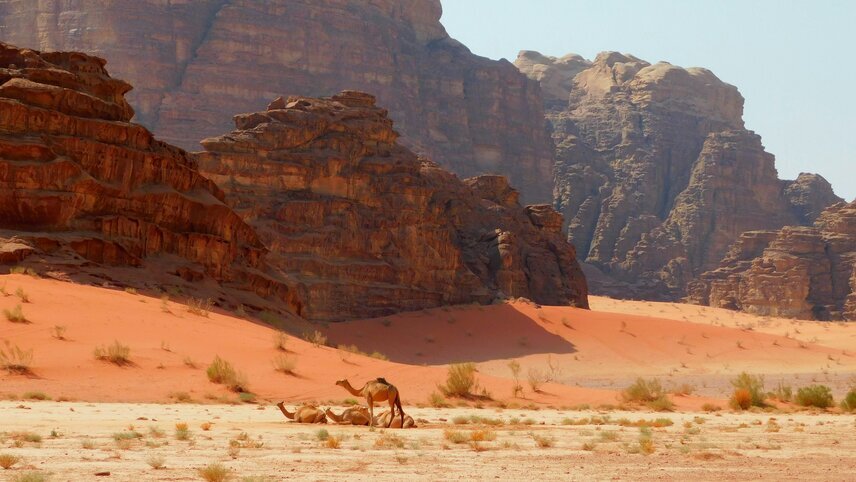 Signature Jordan - Stars & Desert Sands