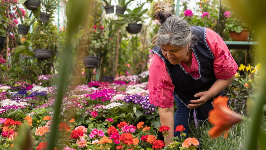 Signature Mexico - Among Ruins & Ritual