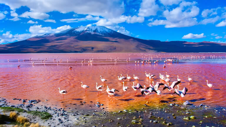 Cycle Chile & Argentina: Atacama to Salta