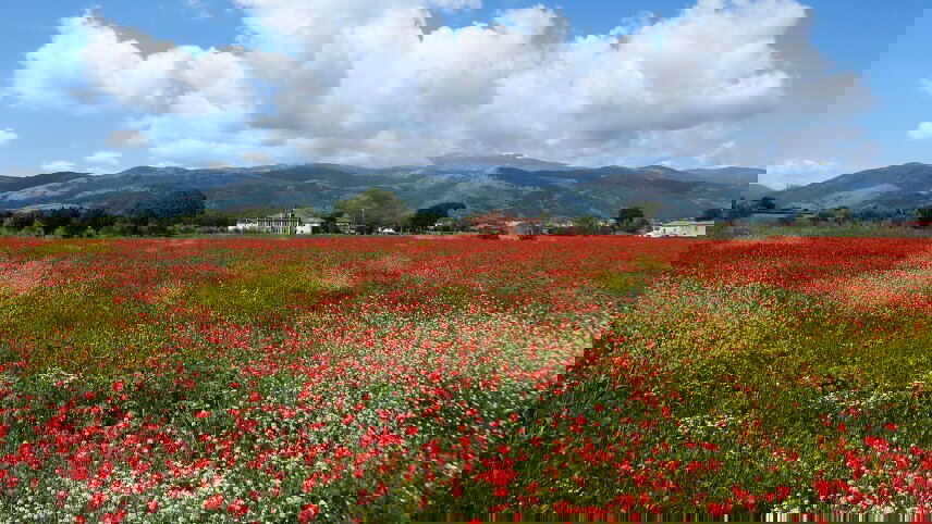 Italy Coast to Coast by E-bike: Puglia to Amalfi Coast