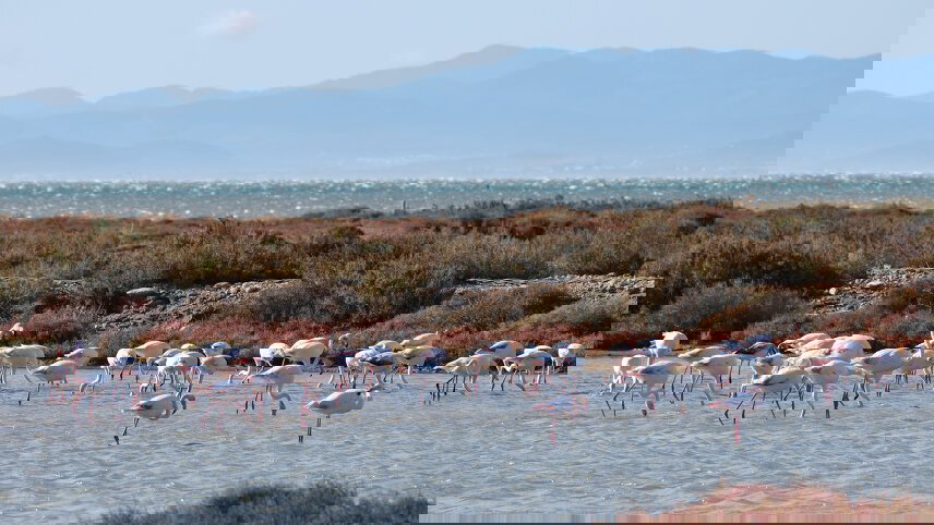 Cycling the Mediterranean Coast in Spain