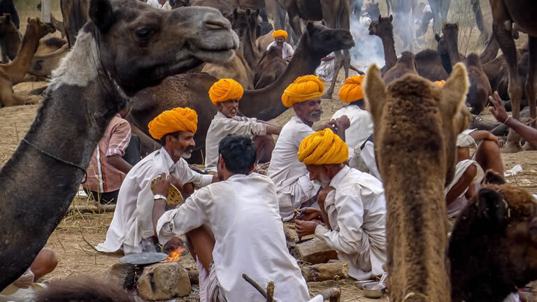 Cycling Through Rajasthan