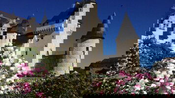 7 Day Cycle the Loire Valley (Exodus)