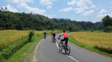 13 Day Cycling Indonesia's Islands (Exodus)