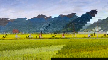 14 Day Best of Vietnam - Premium Adventure (Exodus)