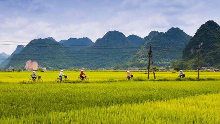 14 Day Cycling Vietnam (Exodus)