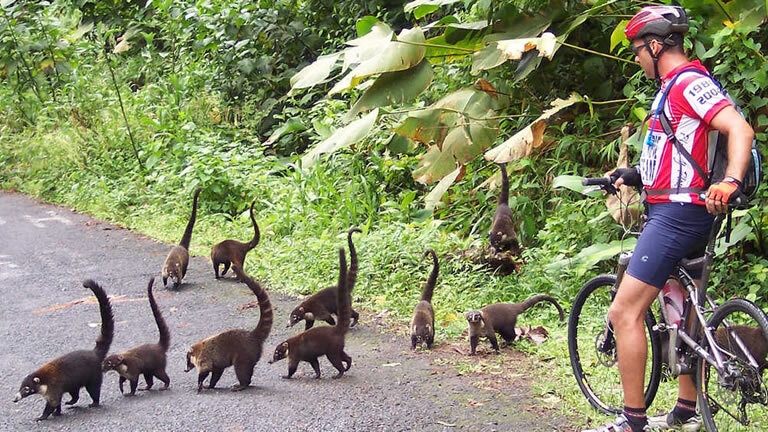 Costa Rica Coast to Coast Ride