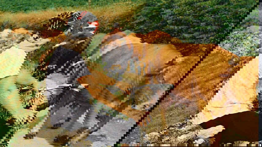 Cycle the Camino de Santiago