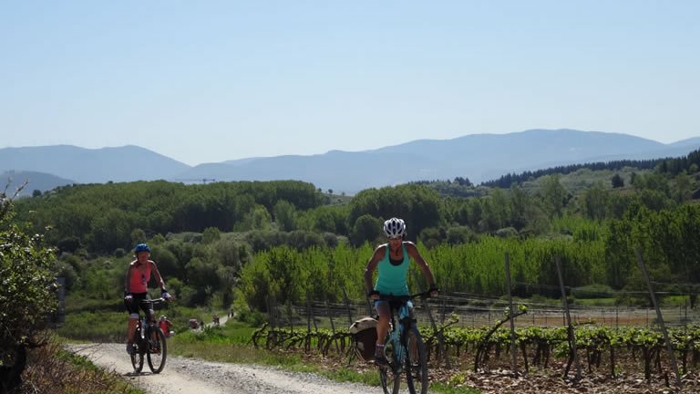 Cycle the Camino de Santiago