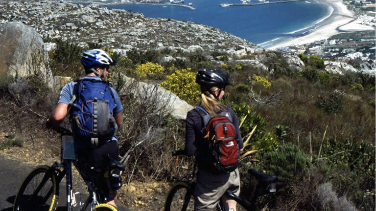 Cycling the Cape & Winelands