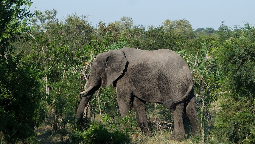 Cycling the Drakensberg & Kruger