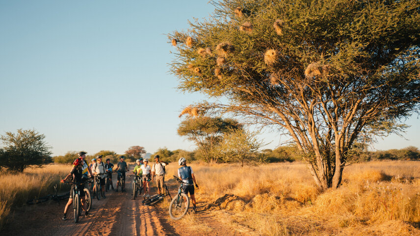 Cycle Namibia