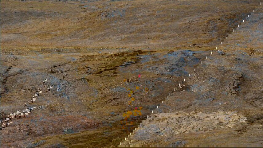 West Greenland Ice Odyssey: Glaciers & Icebergs