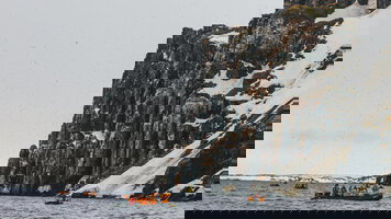 11 Day Svalbard in Summer: Tundra, Whales & Wildlife (Exodus)