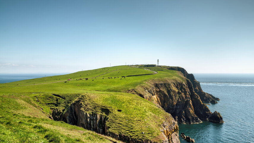 Scotland to Spitsbergen: Puffins, Sea Ice & Wildlife