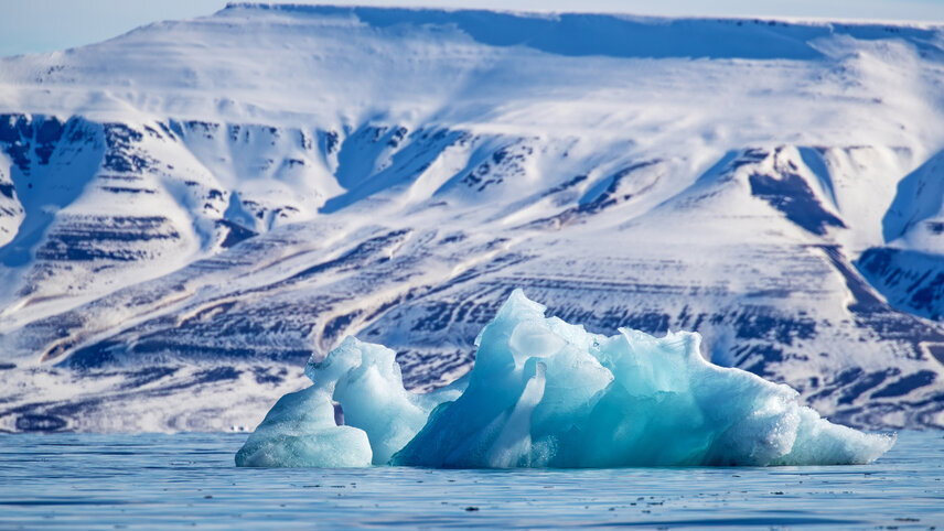 Scotland to Spitsbergen: Puffins, Sea Ice & Wildlife