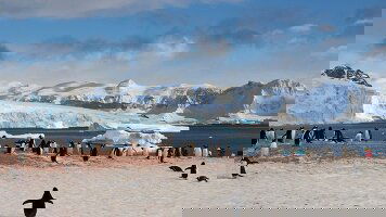 23 Day Epic Antarctica: Falklands, South Georgia & Antarctic Circle Crossing via Buenos Aires (Exodus)