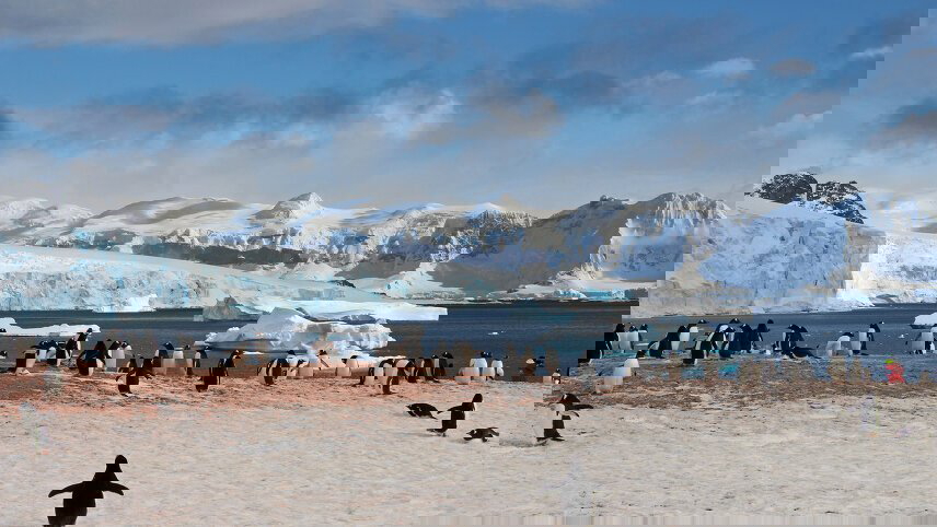 Epic Antarctica: Falklands, South Georgia & Antarctic Circle Crossing via Buenos Aires