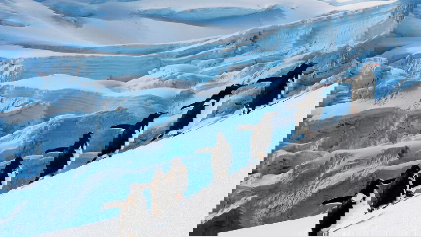 Crossing the Circle: Southern Expedition