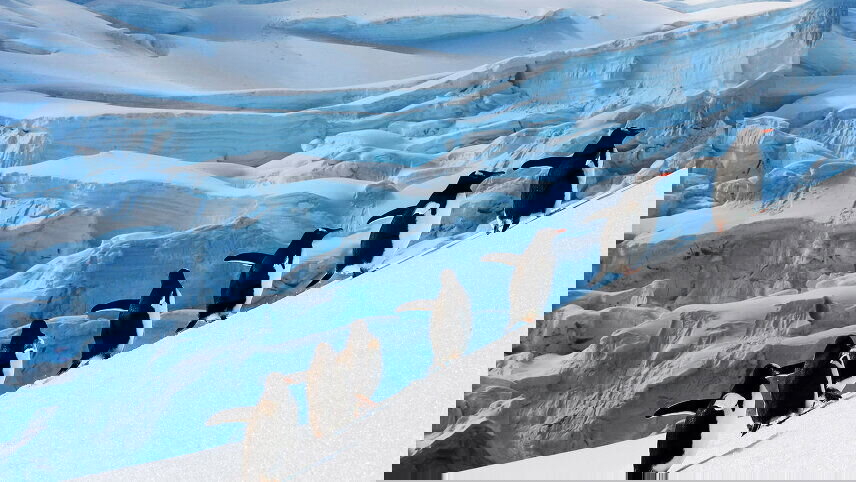 Antarctica by Helicopter: Icebergs, Mountains & Remote Lands