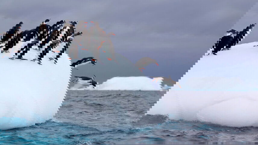 Antarctica by Helicopter: Icebergs, Mountains & Remote Lands