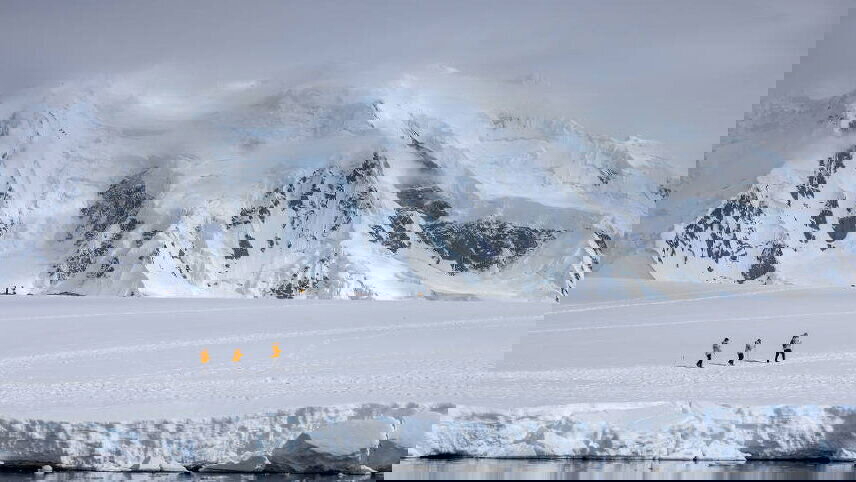 Penguins of the Far South: Falklands, South Georgia & Antarctica