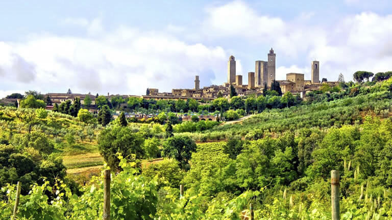 Tuscany Walks & Chianti Wines