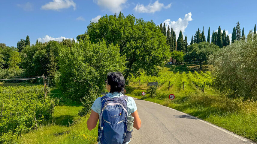 Tuscany Walks & Chianti Wines