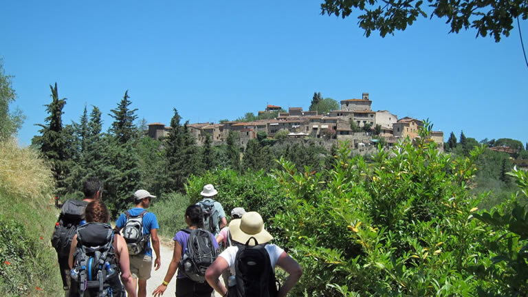 Tuscany Walks & Chianti Wines