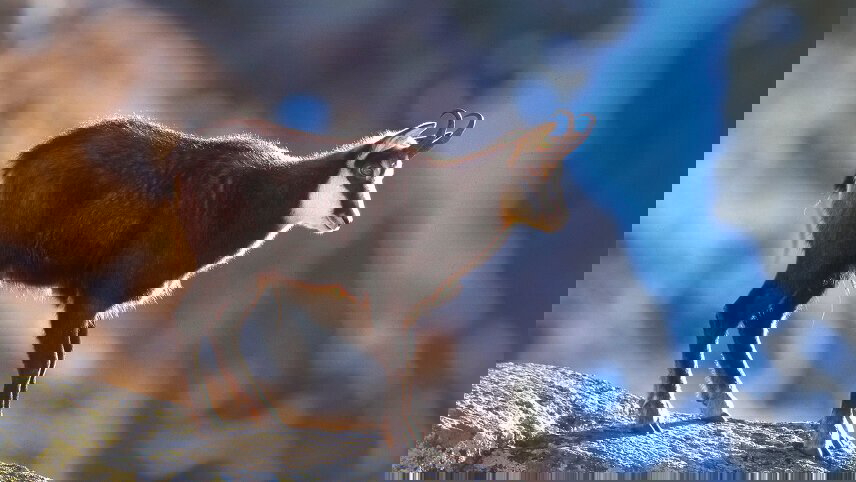 Highlights of the Dolomites