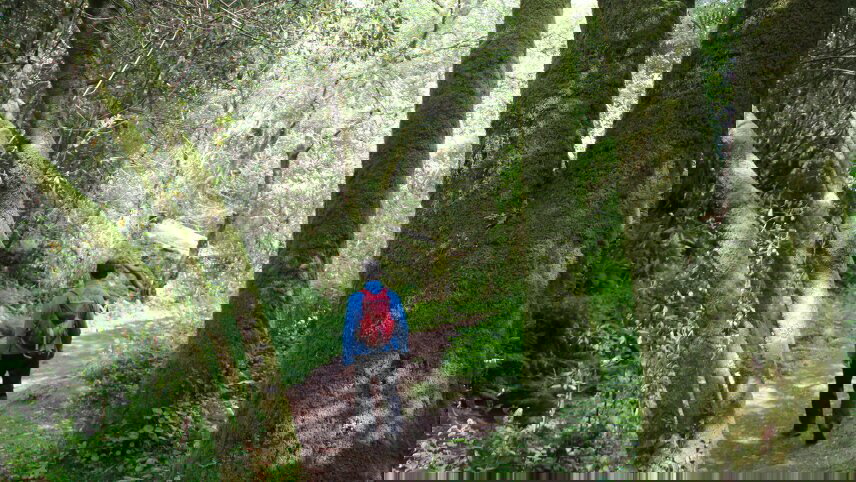 Portuguese Camino Highlights Walk