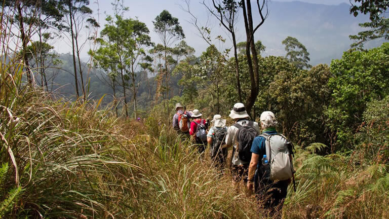 Spice Trails of Kerala