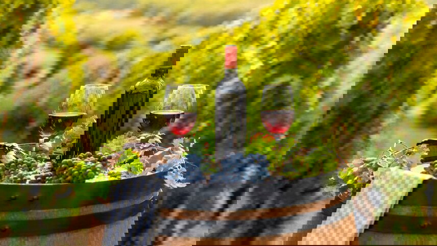 Loire Valley: Walks, Wine & Chateaux