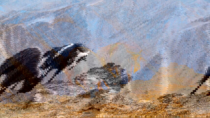 Climb Morocco's Mt Toubkal