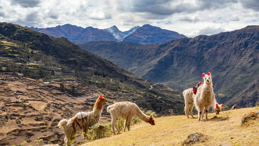 Lares Trek to Machu Picchu