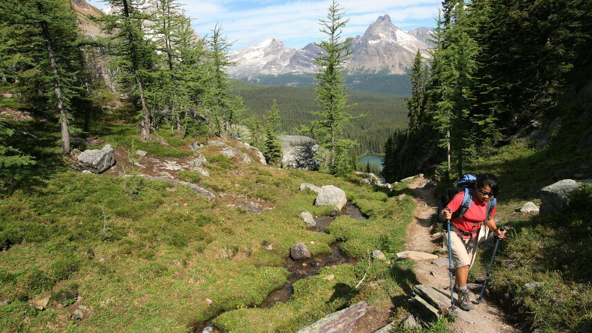 Canadian Rockies: Heli-Hike & Wilderness