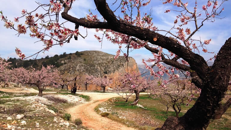 Hike Spain's Sierra de Aitana