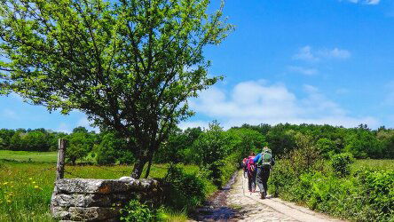 9 Day Camino de Santiago Trek (Exodus)