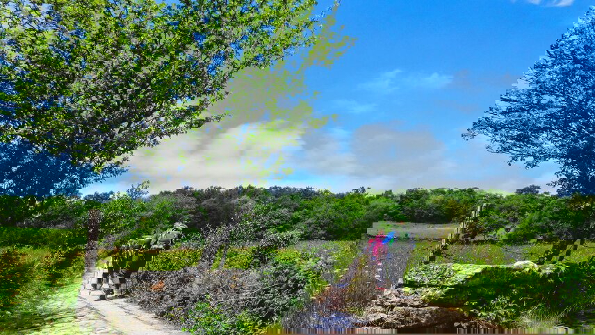 Trekking the Camino de Santiago