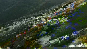 8 Day Walking in the Azores (Exodus)