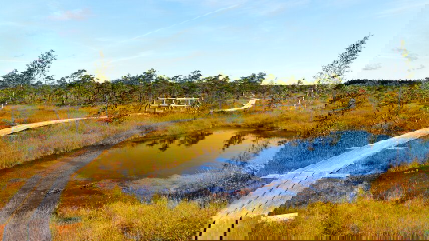 Walks of the Baltics & Finland