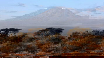 8 Day Kilimanjaro Climb Rongai Route (Exodus)