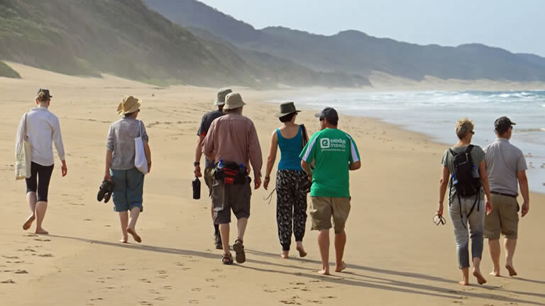 South Africa: Walking & Wildlife