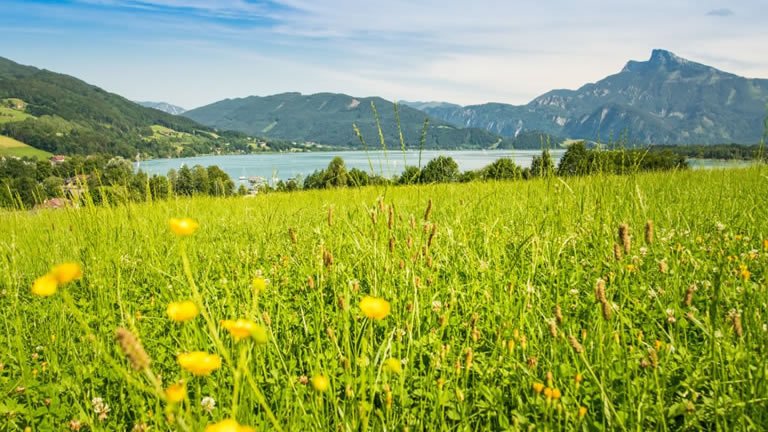 Walking in Austria's Lake District